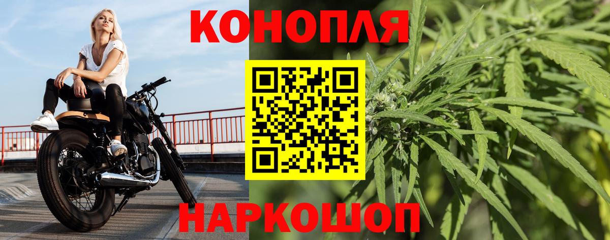 Канабис MAZAR Советск